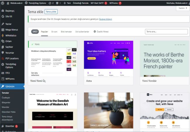 wordpress tema yükleme